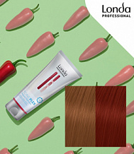 5412 LONDA TONEPLEX ����� ������� ����� 200 �� 1